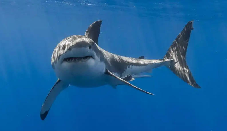 吉林省桦甸市吉兴播种器有限公司轮播图3