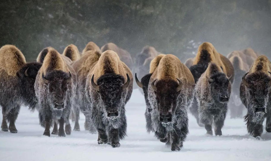 吉林省桦甸市吉兴播种器有限公司轮播图1